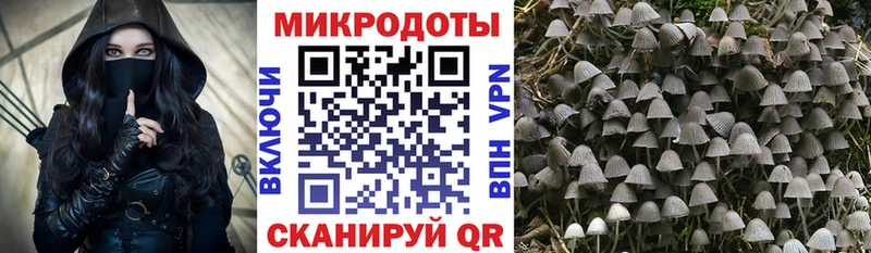 Купить где  Магадан  Галлюциногенные грибы Psilocybe 